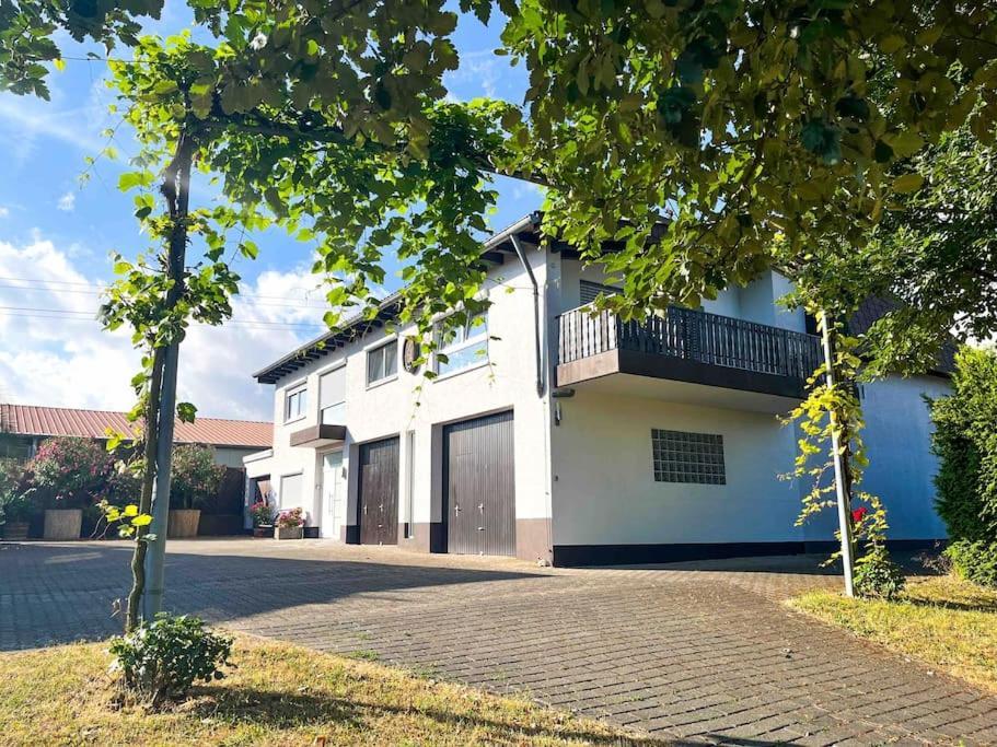 Apartment 100 Qm Im Weindorf - Balkon/Garage Aspisheim Eksteriør billede